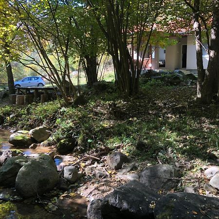 Vila Idila Crni Vrh Εξωτερικό φωτογραφία