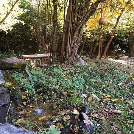 Vila Idila Crni Vrh Εξωτερικό φωτογραφία