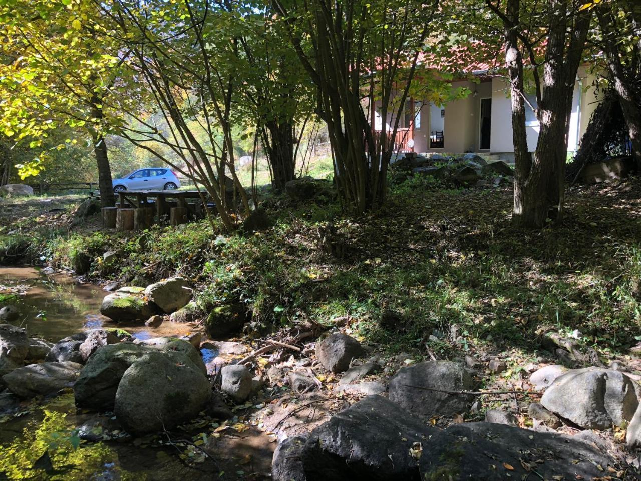 Vila Idila Crni Vrh Εξωτερικό φωτογραφία